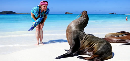 Land Based Galapagos Tour Christmas